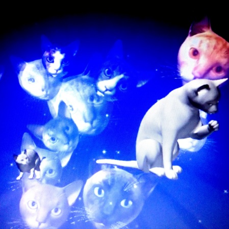 crystal cats.jpg